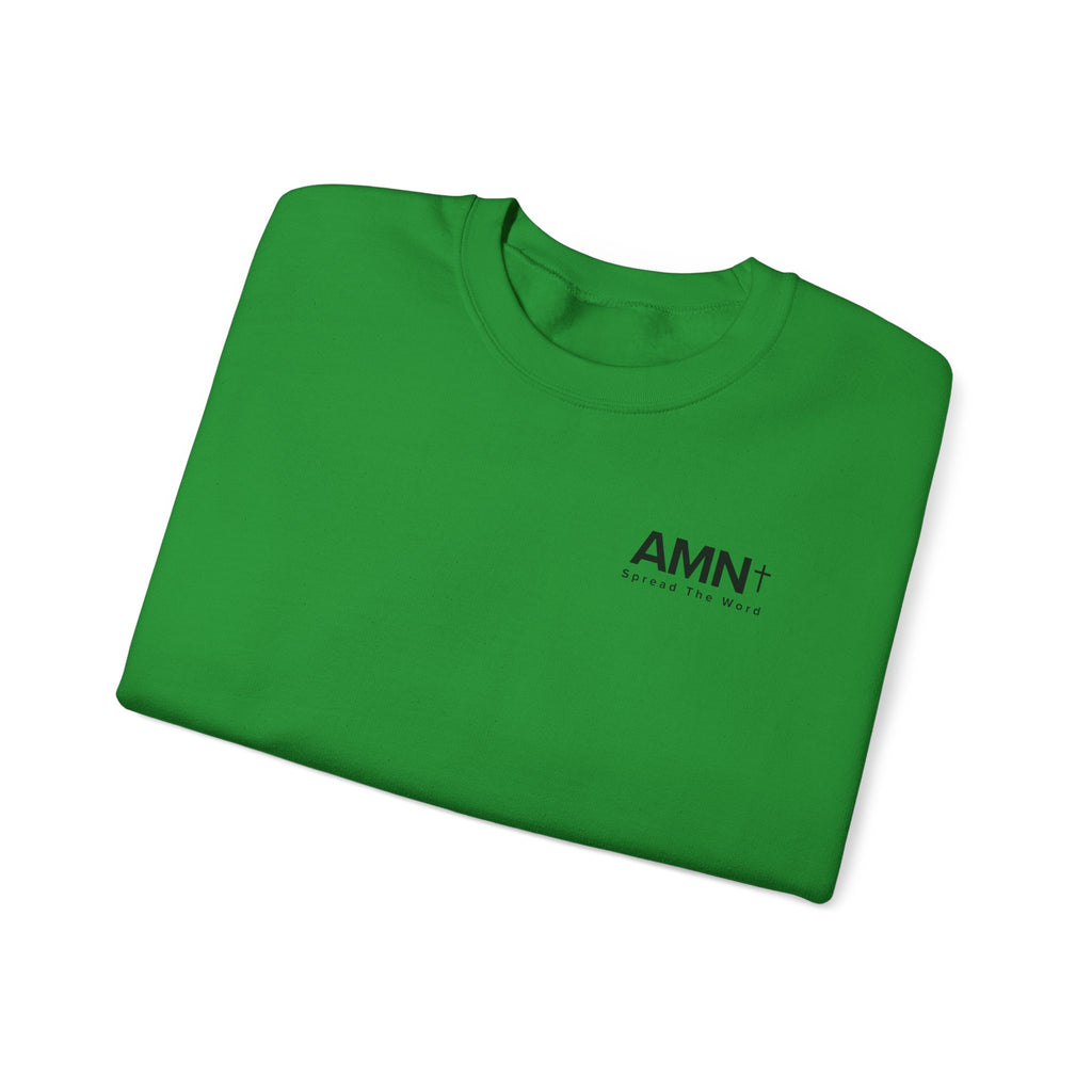 Green crewneck sweatshirt with small AMN+ logo on front
