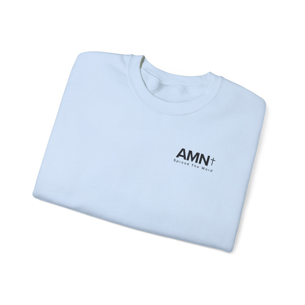 Light blue crewneck sweater with AMN+ logo at the chest