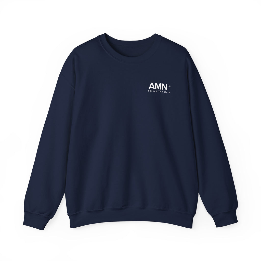 Navy crewneck sweater with long sleeves and AMN+ logo on the chest