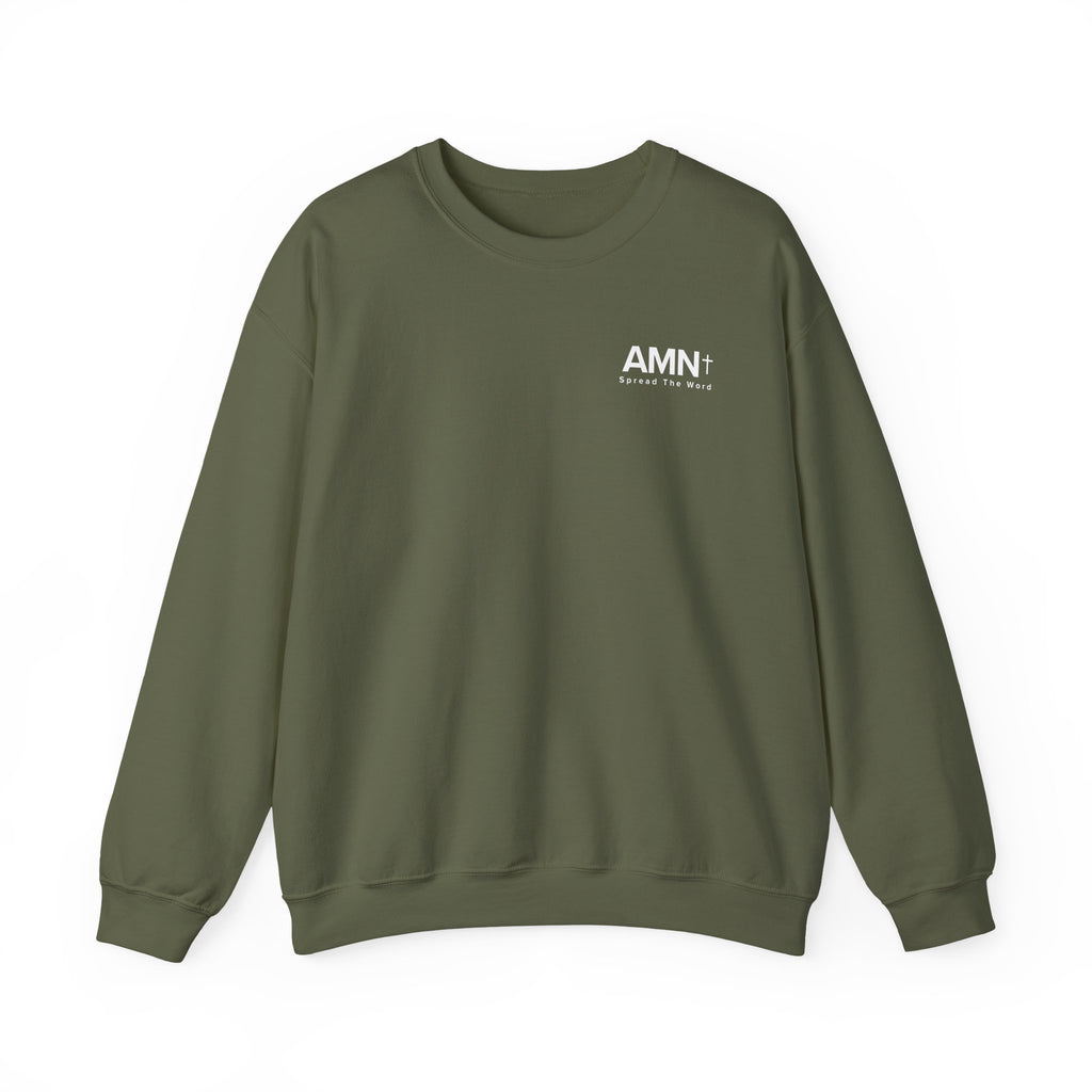 Olive green crewneck sweater with small AMN logo on chest