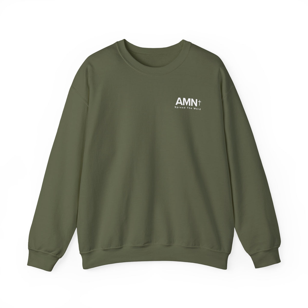 Olive green crewneck sweater with small AMN logo on chest