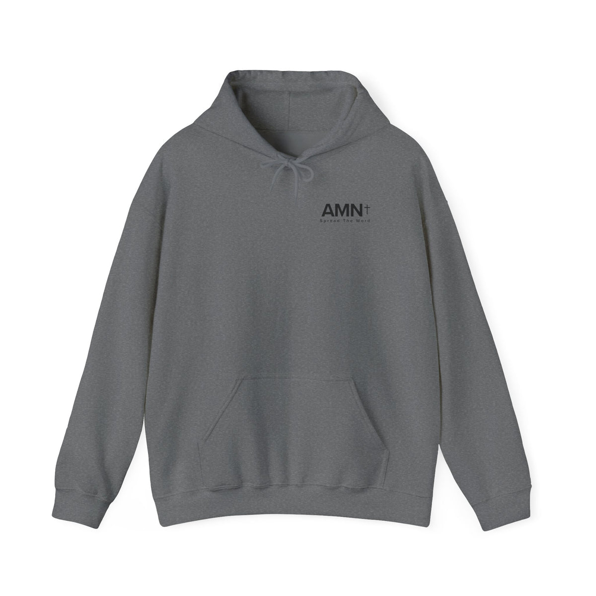Graphite pullover hoodie with drawstring hood, kangaroo pocket, and AMN+ chest logo.