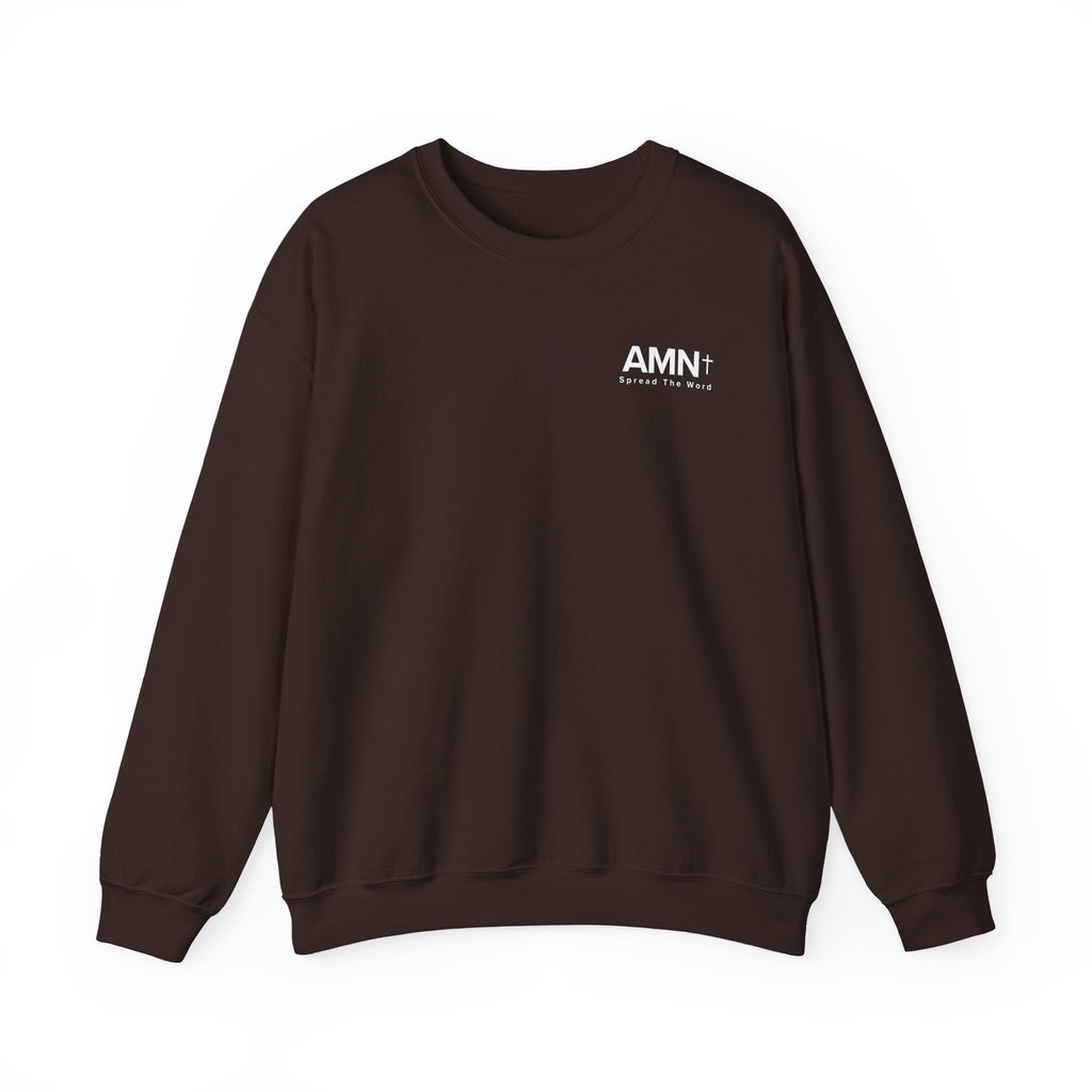 Dark brown crewneck sweater with long sleeves and AMN+ logo on chest