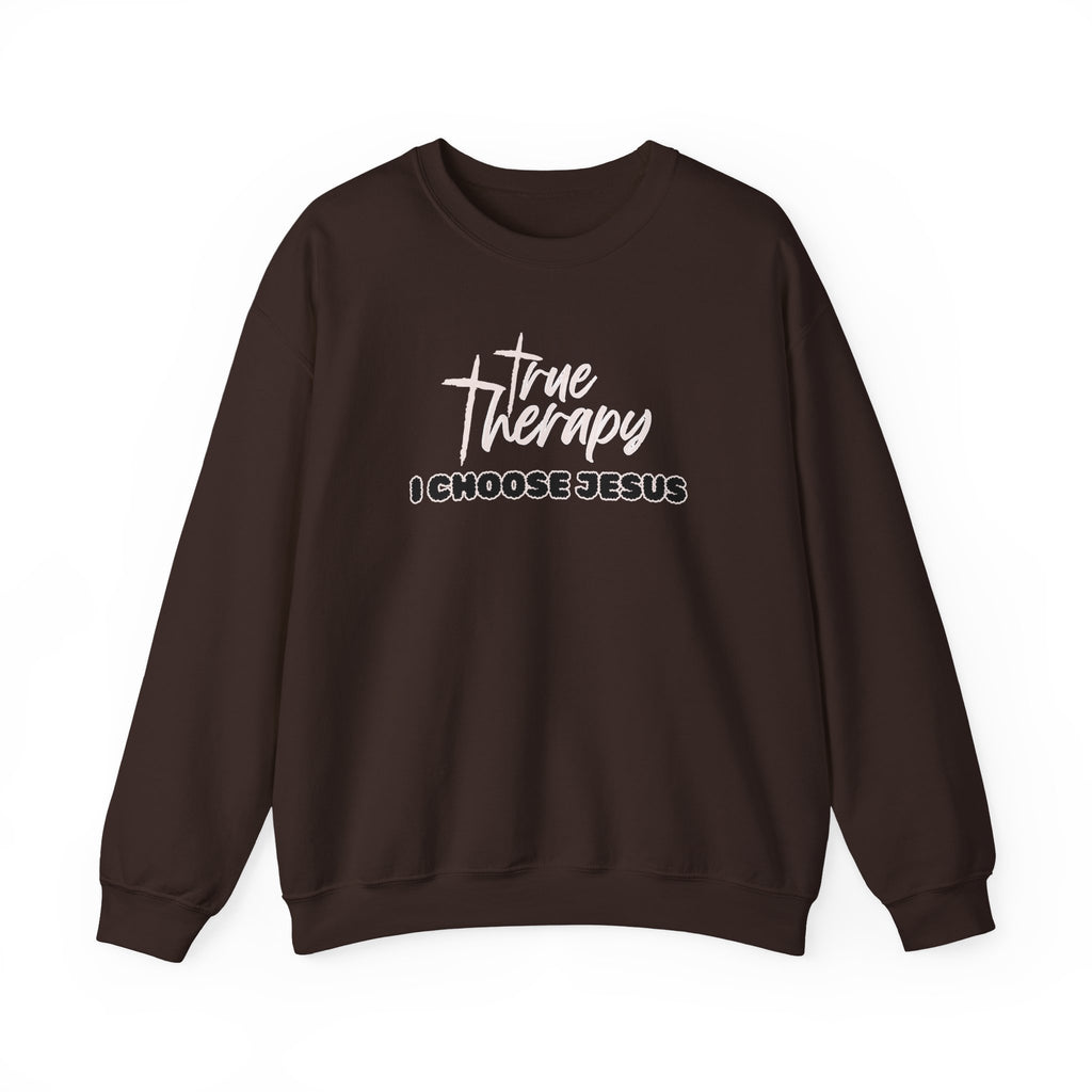 Dark brown crewneck sweater with long sleeves and front graphic print