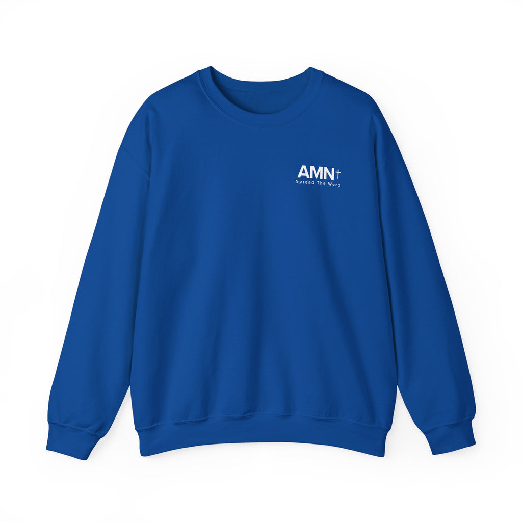 Blue crewneck sweater with long sleeves and AMN+ logo on the chest