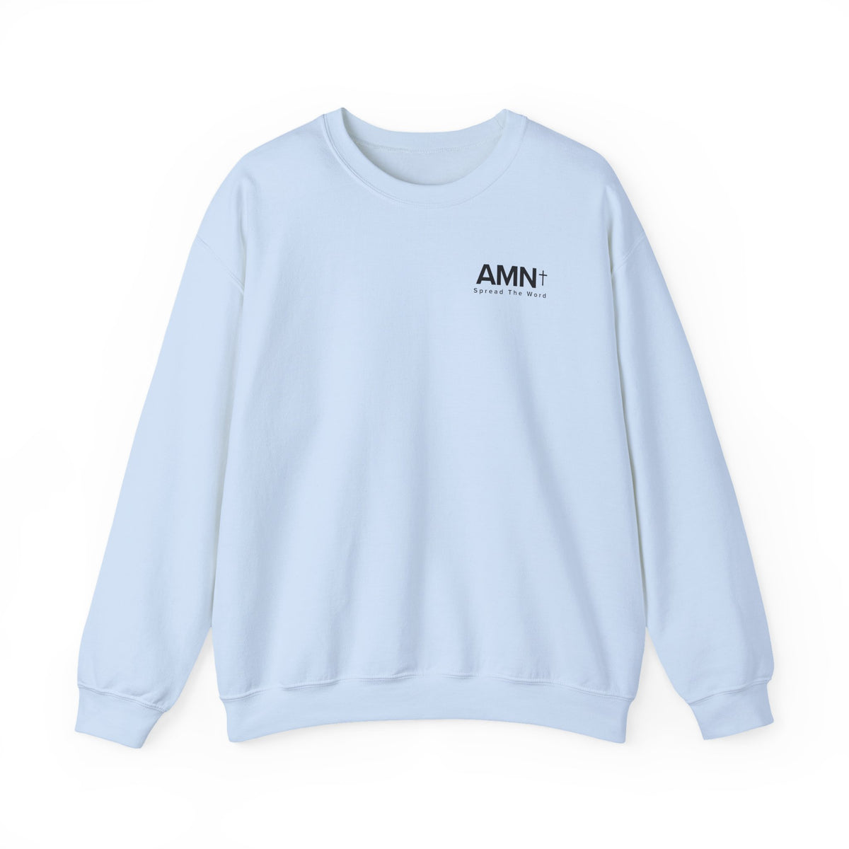 Light blue crewneck sweater with AMN+ logo on the front.