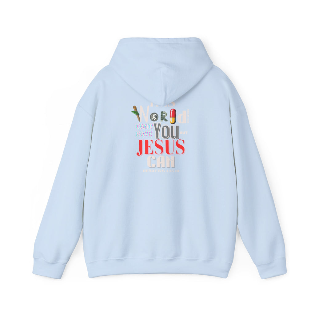 Light blue hoodie with hood and center back print with multicolor lettering