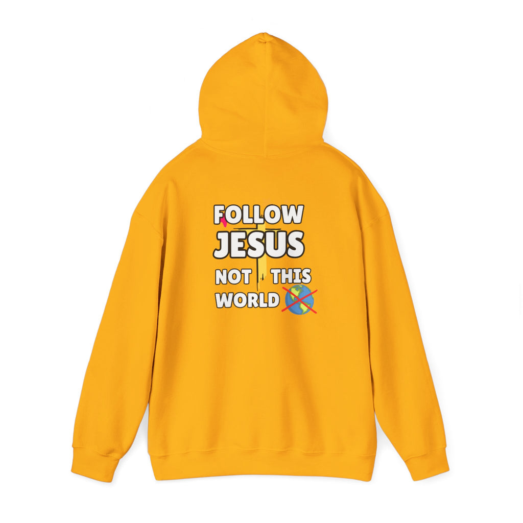 Orange hoodie back view with hood and Follow Jesus Not This World graphic