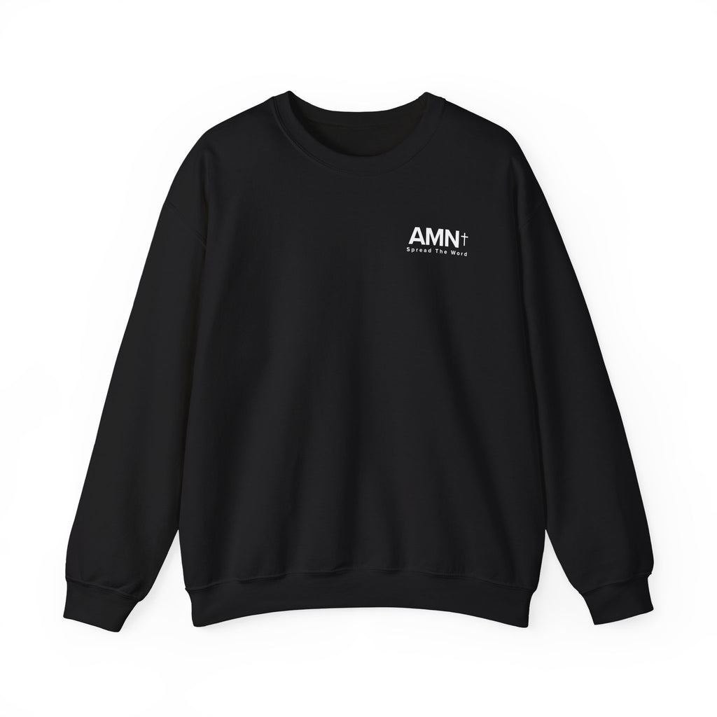 Black crewneck sweater with long sleeves and AMN+ logo on chest
