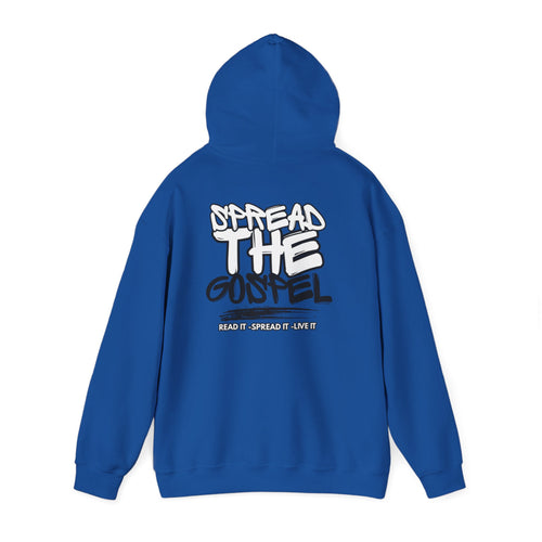 Blue pullover hoodie with hood and large back graphic print