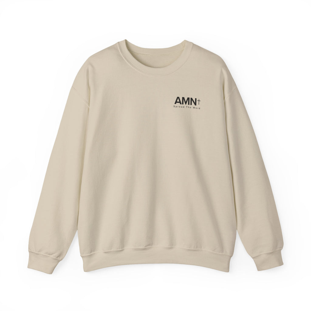 Light beige crewneck sweater with small AMN logo on chest