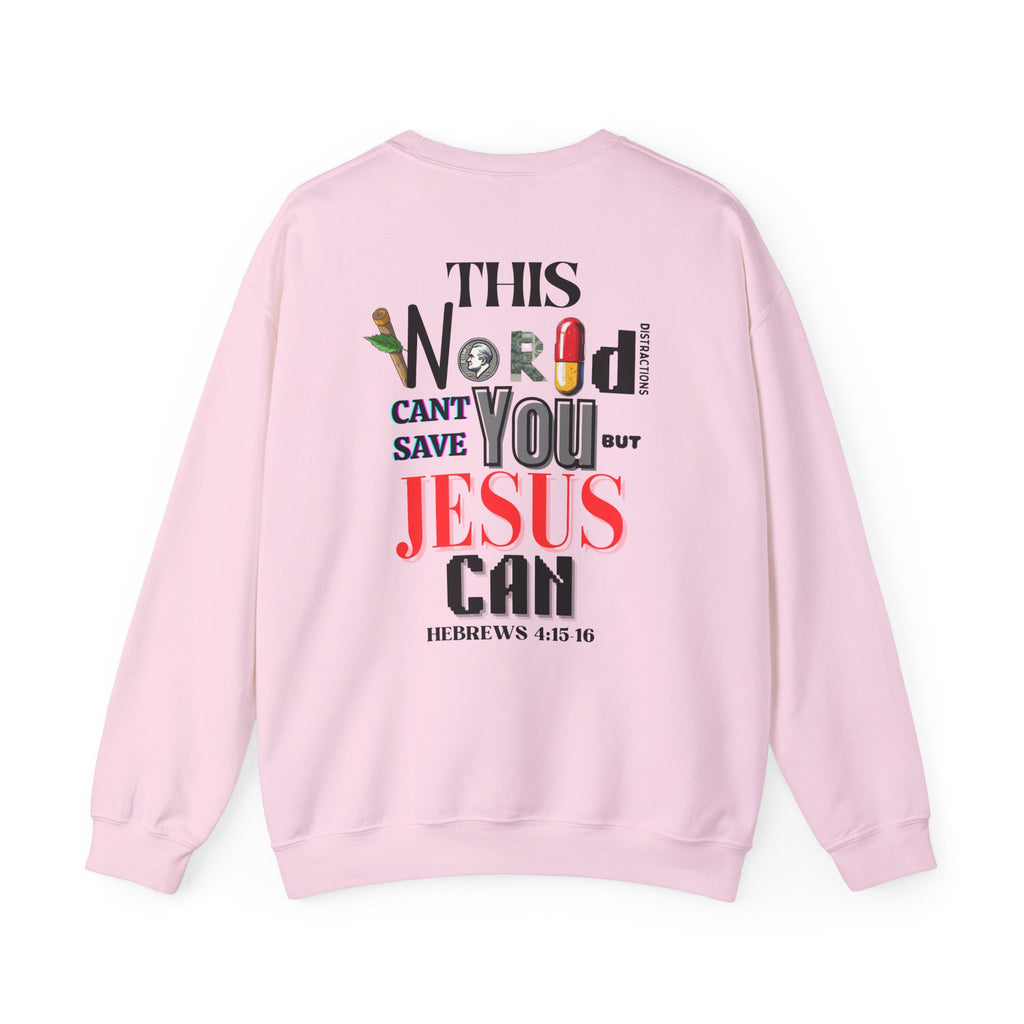Light pink crewneck sweater with large back graphic print