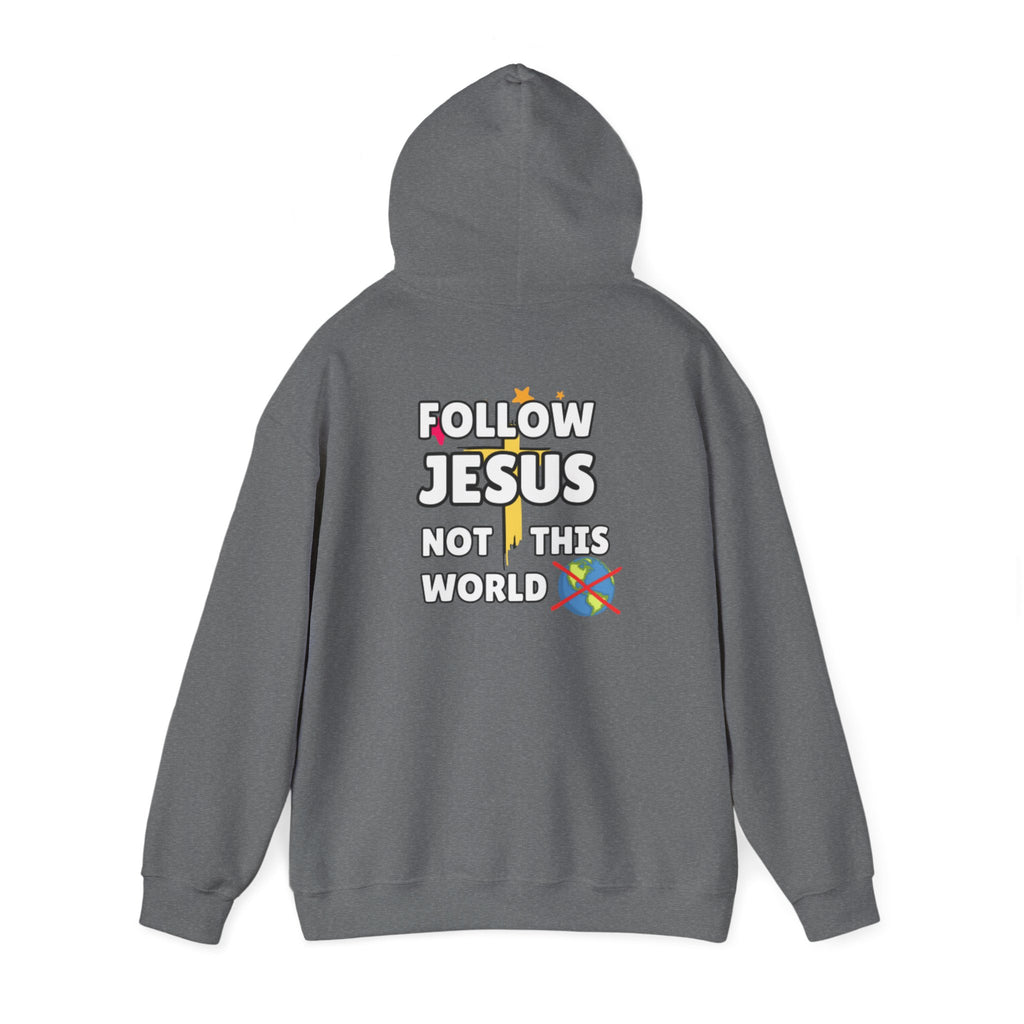 Gray hoodie with back "FOLLOW JESUS NOT THIS WORLD" graphic