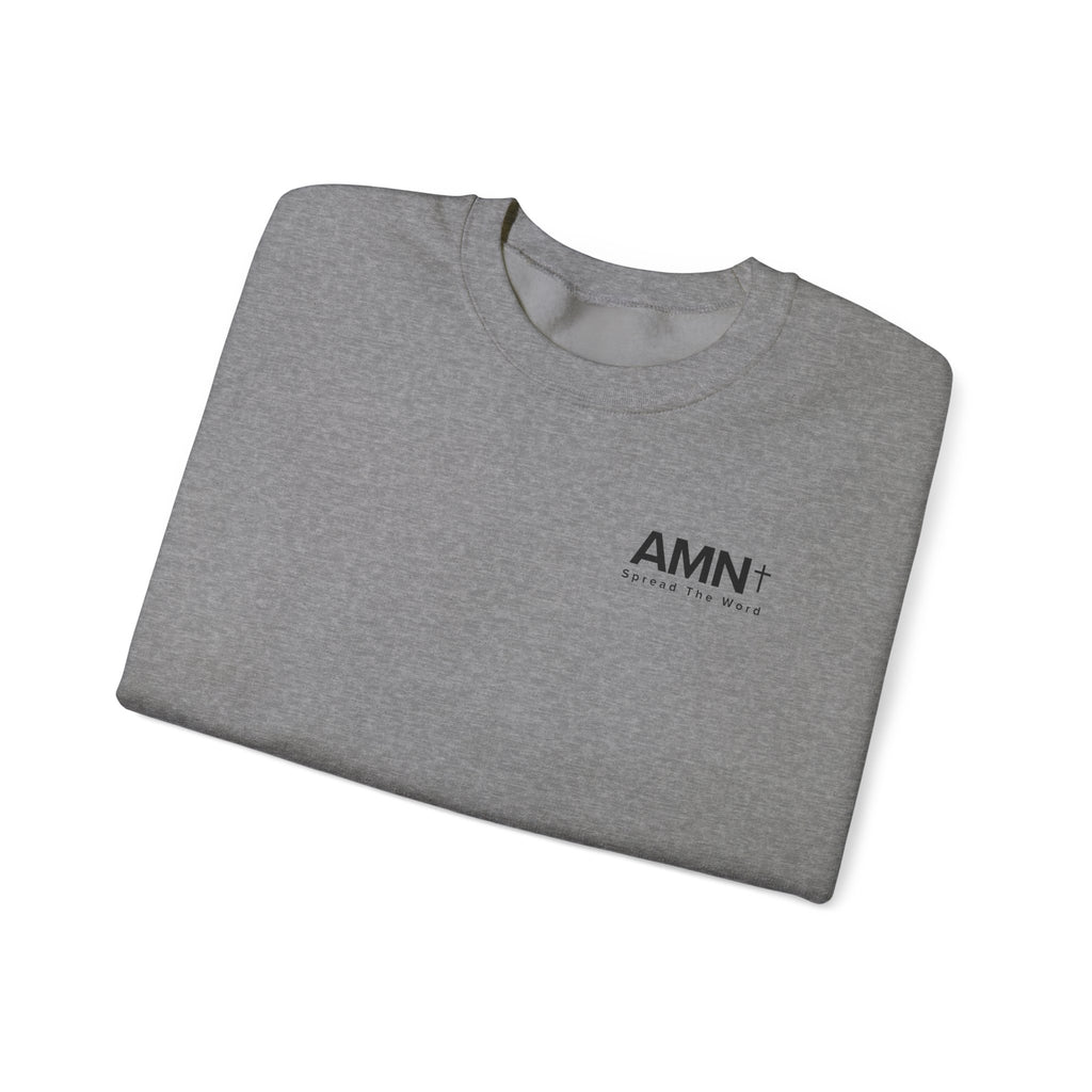 Gray heather crewneck sweater with AMN+ logo at the chest