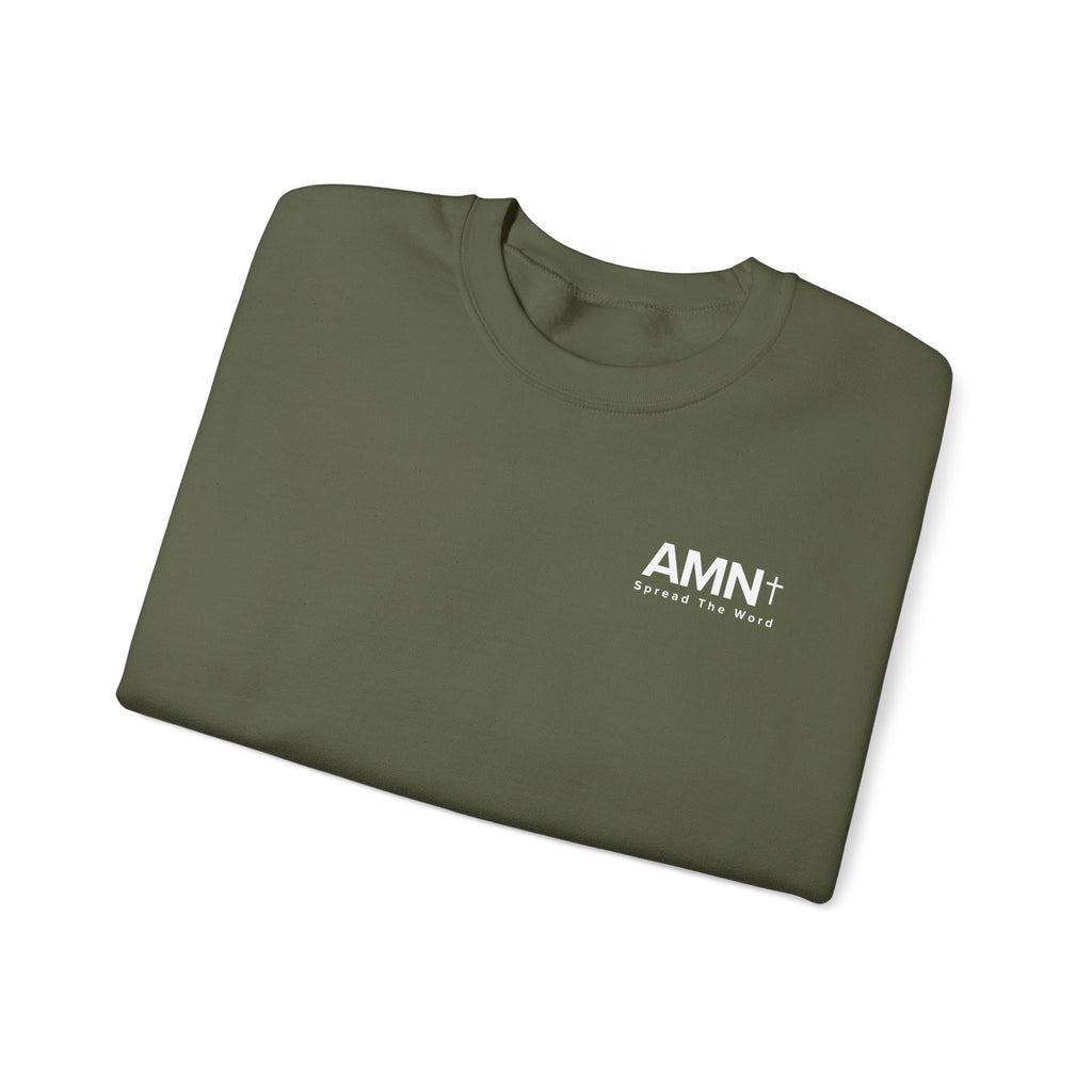 Olive green crewneck sweater with small AMN+ logo on front