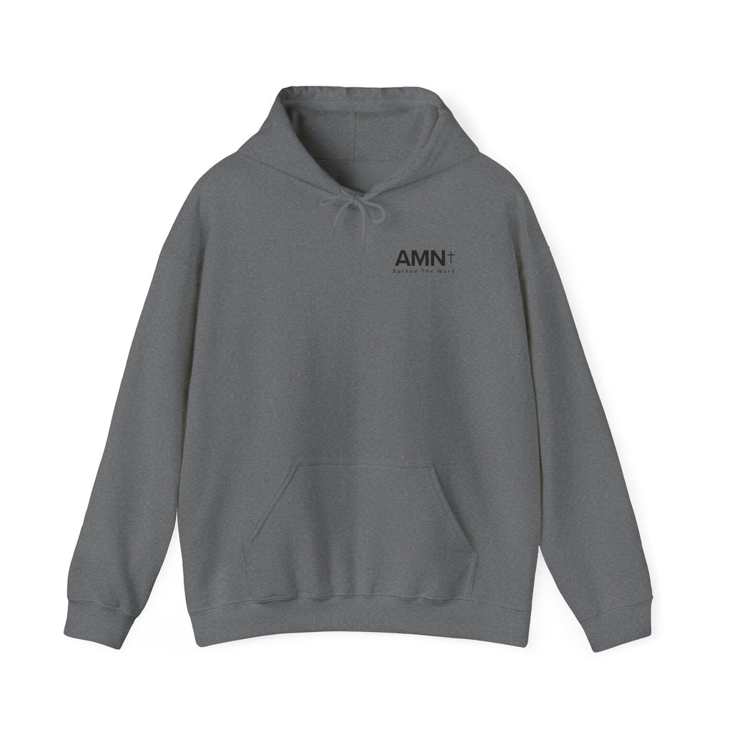 Graphite heather hoodie with front pocket, hood drawstrings, and AMN+ logo on chest
