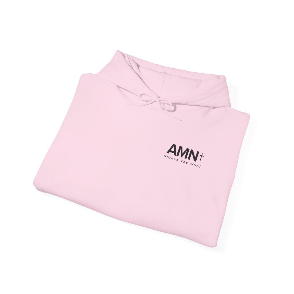 Light pink hoodie with drawstring hood, kangaroo pocket, small AMN logo.