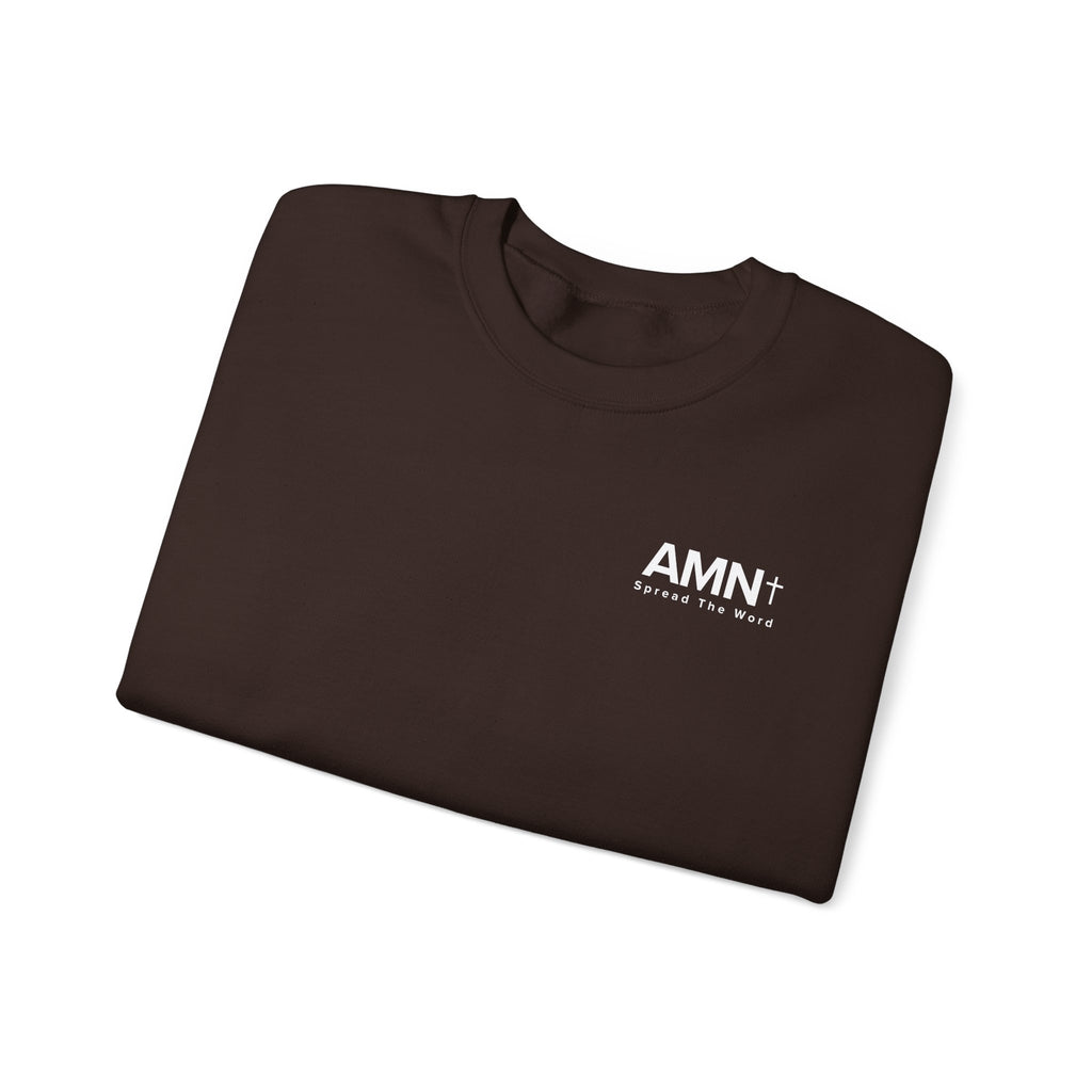 Dark brown crewneck sweater with AMN+ logo at the chest