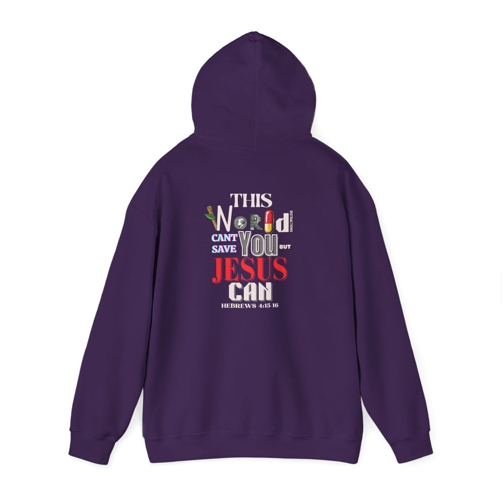 Purple hoodie with hood and kangaroo pocket, 'This World...Jesus can' back print