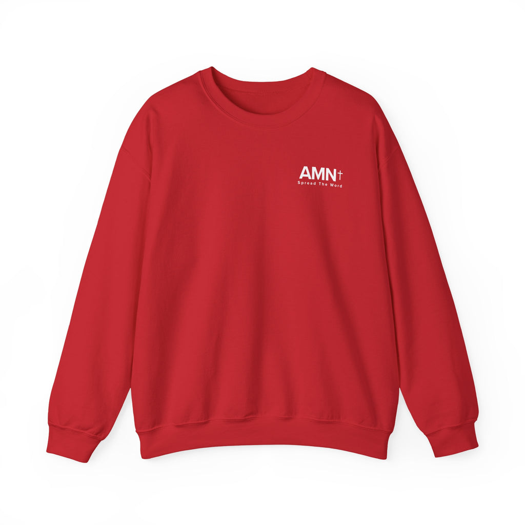 Red crewneck sweater with long sleeves and AMN+ logo on the chest