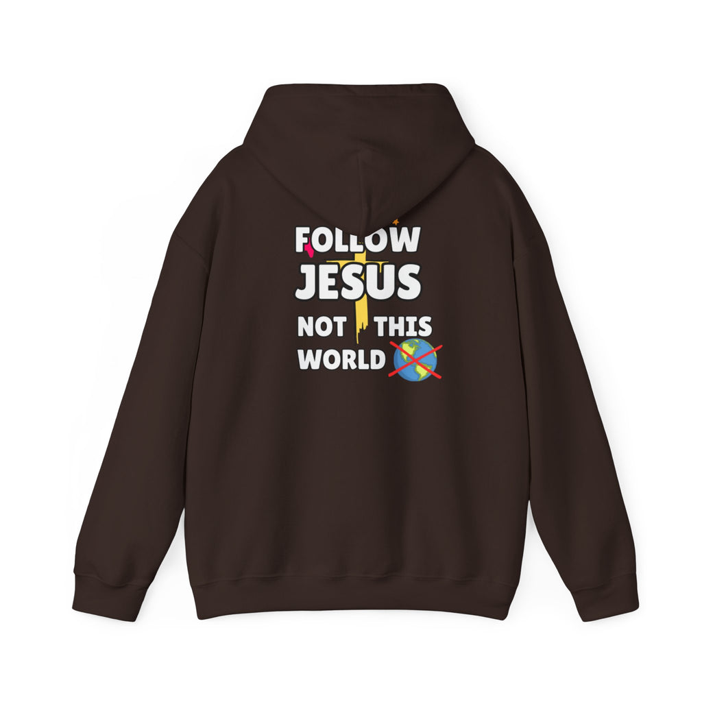 Dark brown hoodie with back "FOLLOW JESUS NOT THIS WORLD" graphic