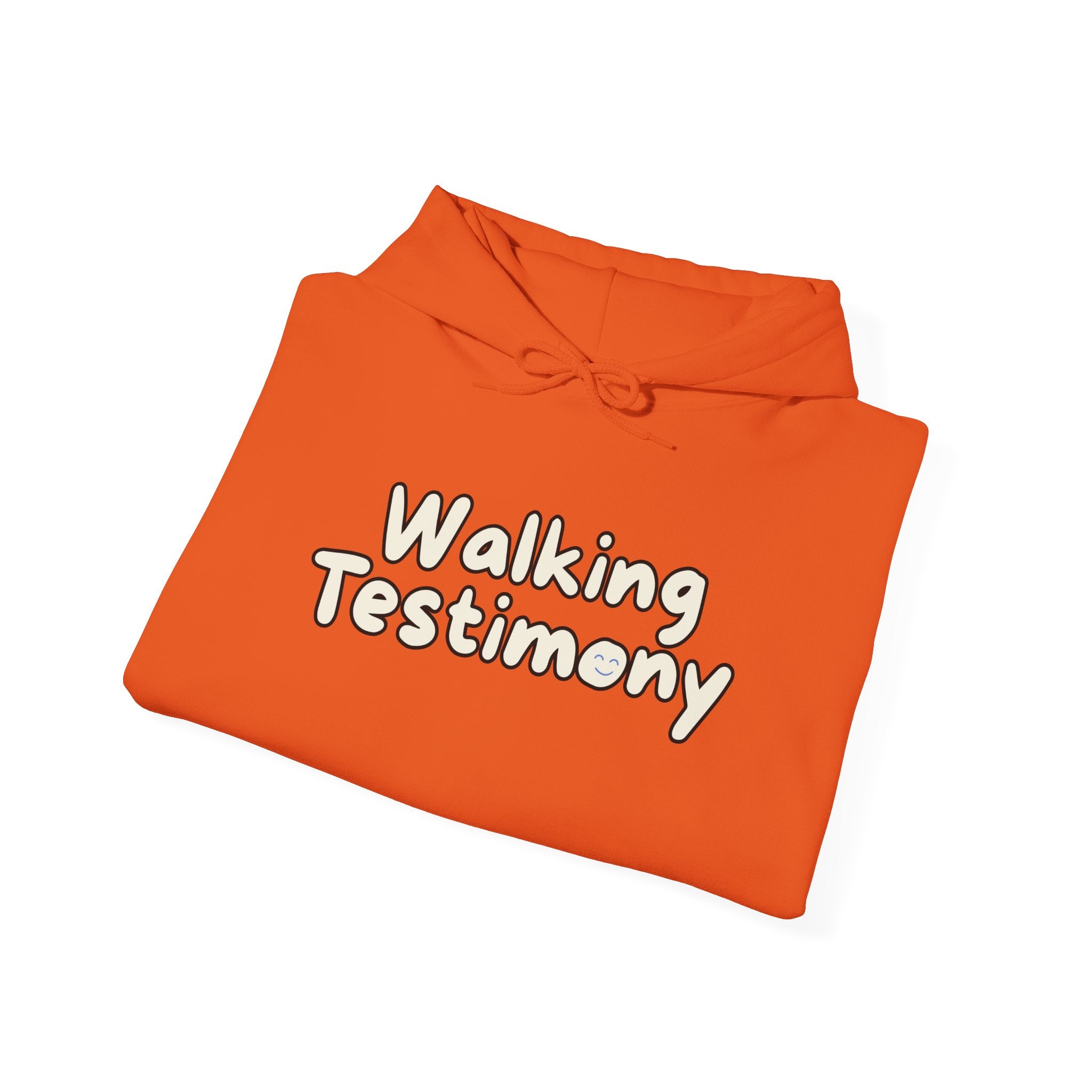 [Walking Testimony] Hoodie