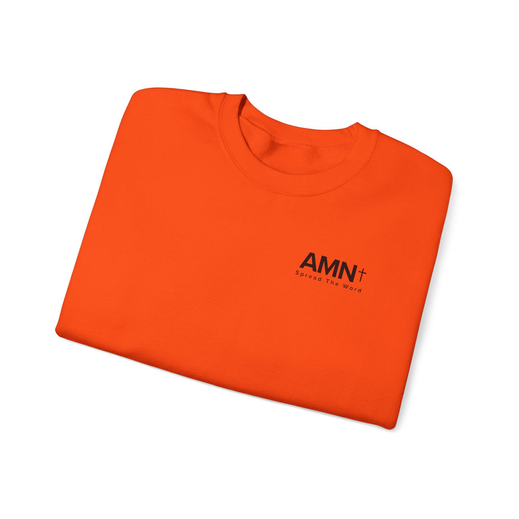 Orange crewneck sweater with small AMN+ logo on front