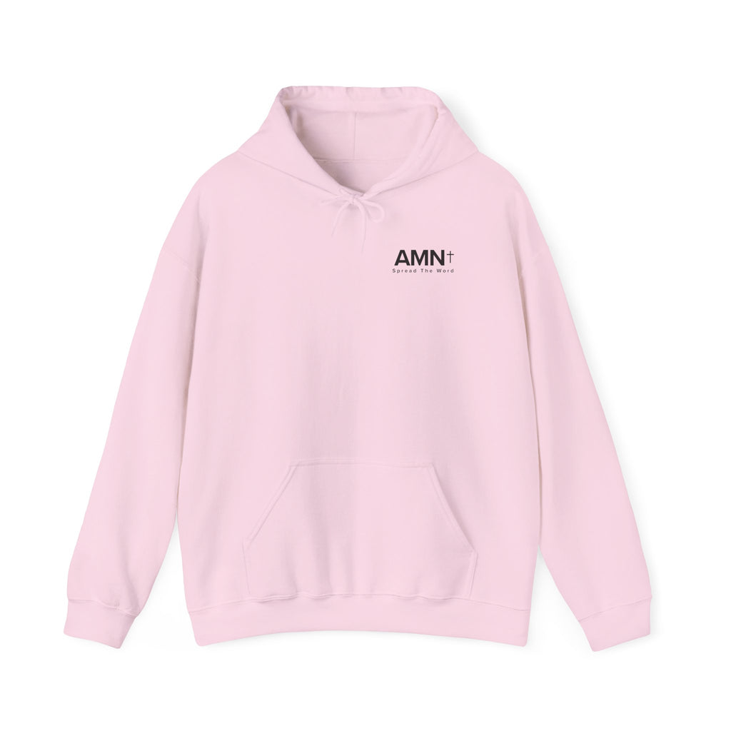 AMN+ light pink hoodie with drawstring hood, front pocket, small AMN+ logo.