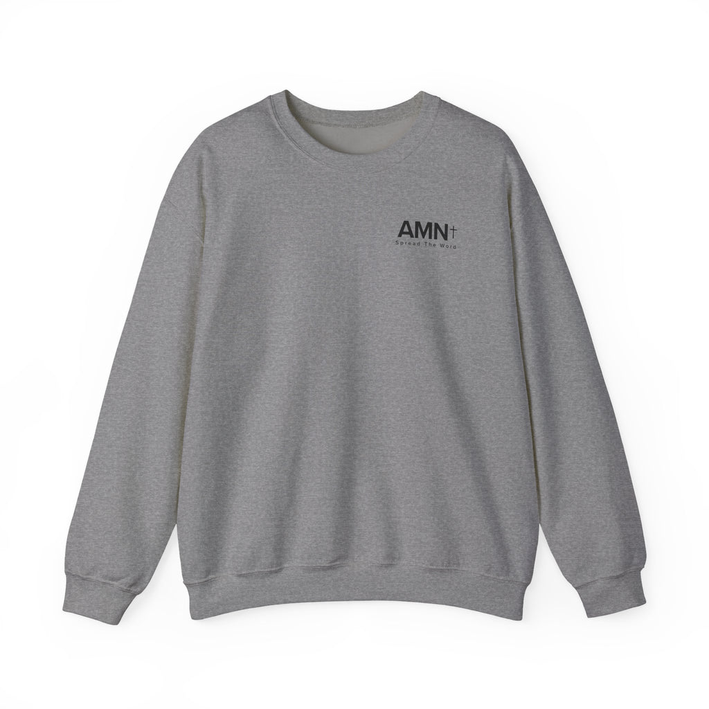 Gray heather crewneck sweater with small AMN logo on chest