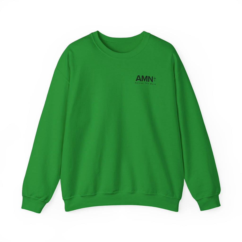 Green crewneck sweater with long sleeves and AMN+ logo on chest