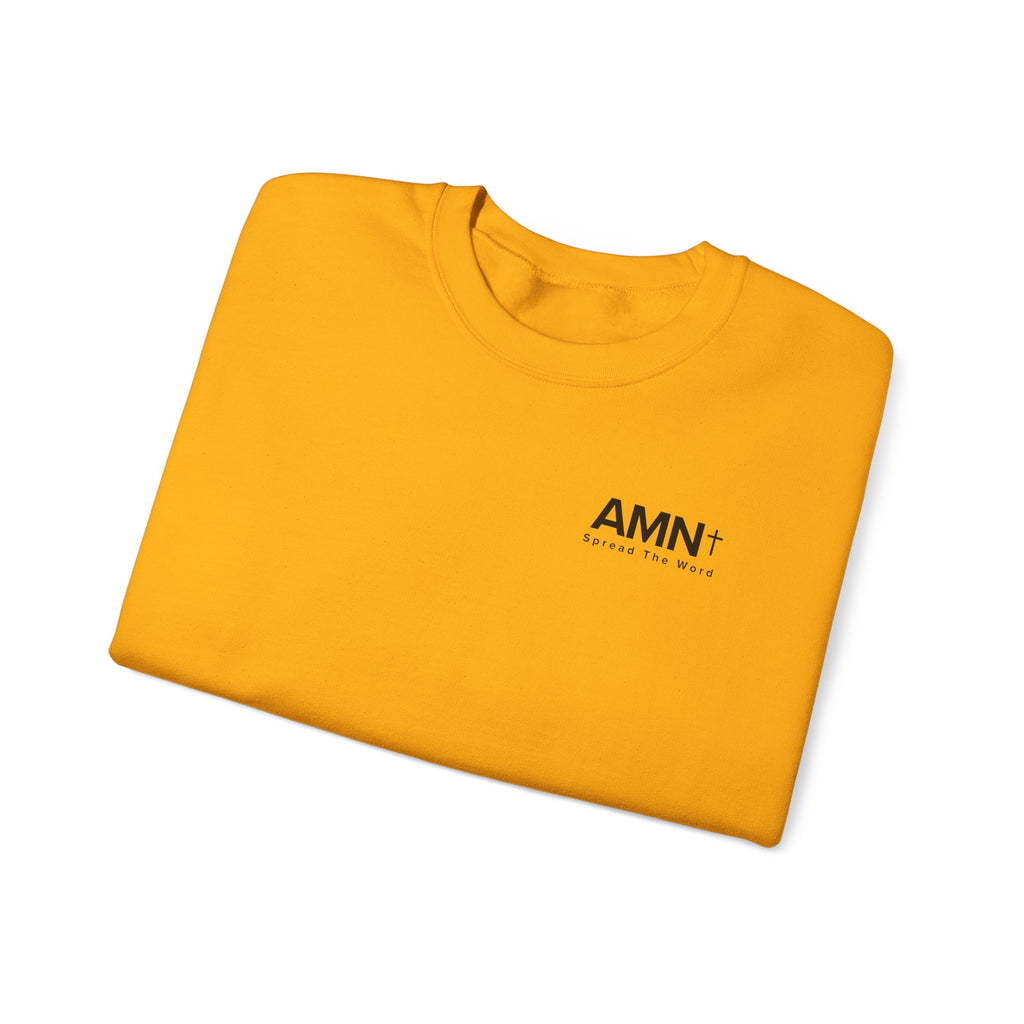 Orange crewneck sweater with small AMN+ logo on front