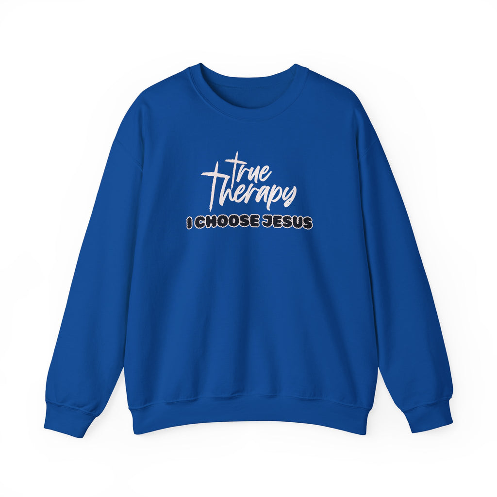 Royal blue crewneck sweater with long sleeves and front graphic print