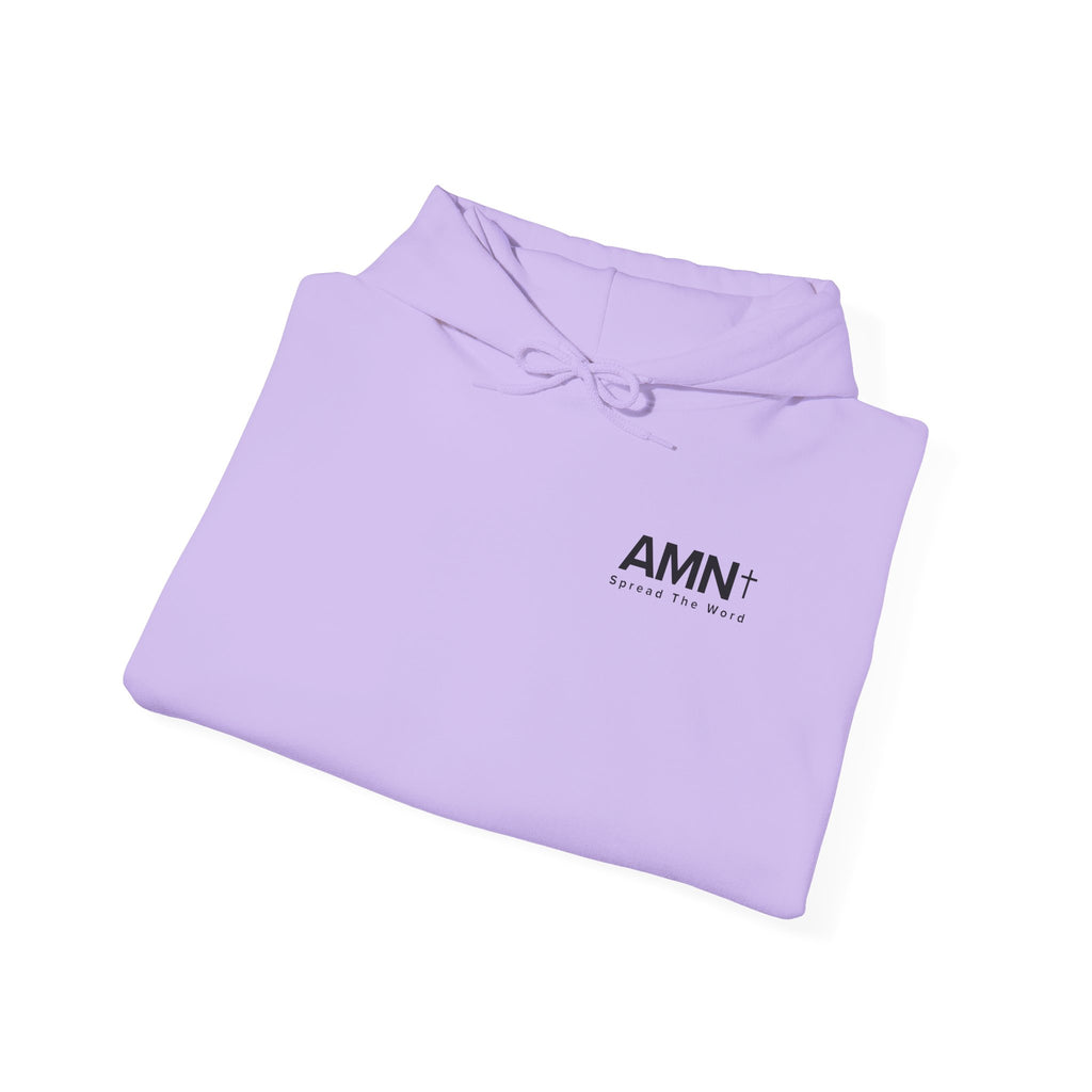 Light purple pullover hoodie with AMN logo on front and hood drawstring